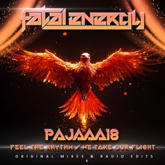 Pajaaa18 - Feel The Rhythm (Original Mix)