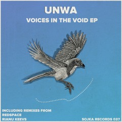 UNWA - Voices In The Void (Original Mix)