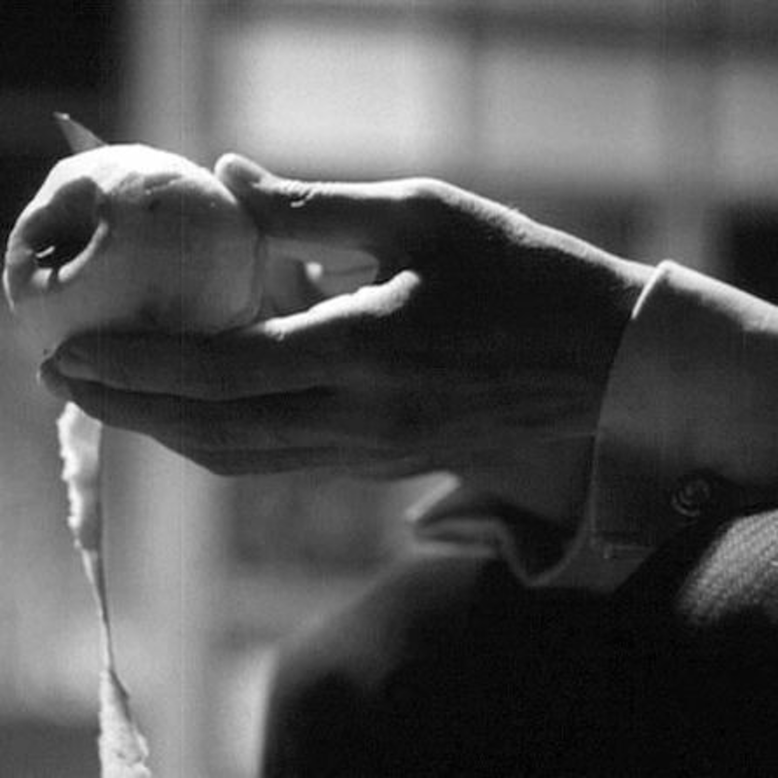 #442 Late spring (1949), de Yasujiro Ozu