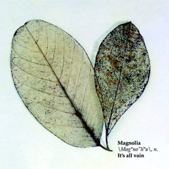 It’s All Vain (Innervisions Radio Edit)