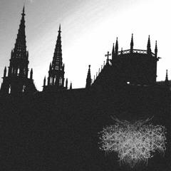 25 ml liquid /// brutvlflvmv & el ruidxxx///
