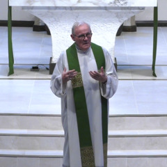 Fr. Walsh: 22nd Sunday in Ordinary Time
