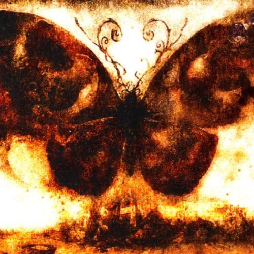 BUTTERFLY