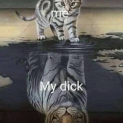 my dick based song 🏃‍♂️🏃‍♂️ prod afraidluvv n scrn