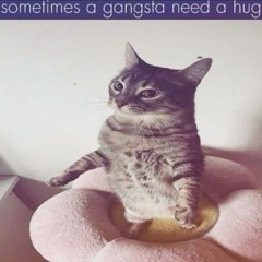 trxgyc - number one prod.  zivo + plentyguap