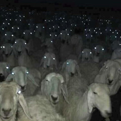 @devonhardyy3- SPOOKHOUSEE ANTHEM (slimeconnor)