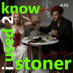 Stoner (Somebody I Used To Know Parody)