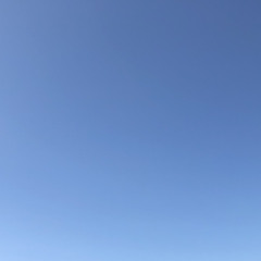 フライングキャットシンドローム