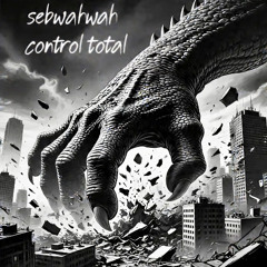 sebwahwah - control total -