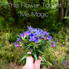This Flower Taught Me Magic