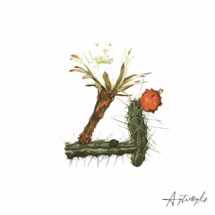 The Upload 10.08.17
