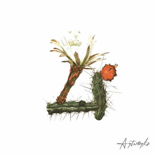 The Upload 10.08.17