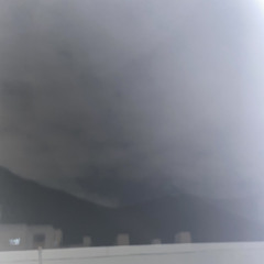 작별인사