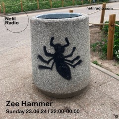 Zee Hammer - 23rd June 2024