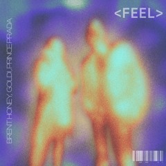 PREMIERE: Brent Honey, GOLDI & Prince Prada – FEEL