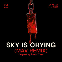 Sky Is Crying (Mav Remix)