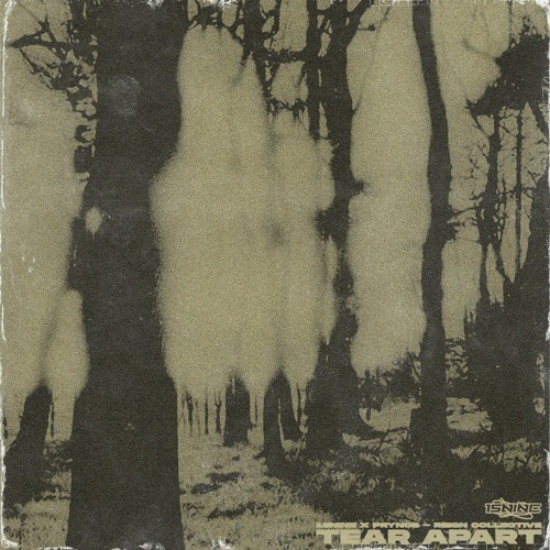 TEAR APART - 15Nine & Prynce [REIGN RELEASE]