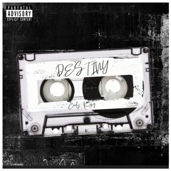 Slapped (Destiny Album)