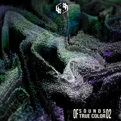 Pablood Anco - Digital Computers [OUT NOW on Beatport, Juno & Spotify]