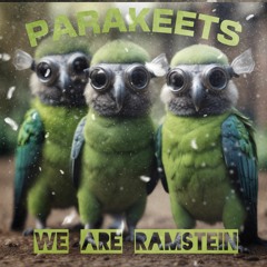 Parakeets 1985 Version 2