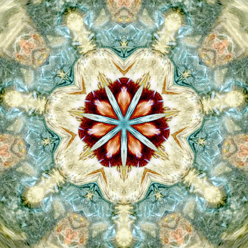 Fight Or Flight (Collaboration with GERTRUDE)