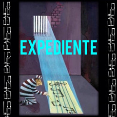 EXPEDIENTE 35- Hotson/Vinke/Ckamai/Alikanto Manquez/Pasajero/SoulOnexotic/Losandree/Pauhan