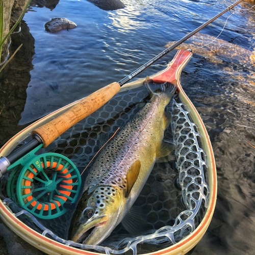 Stream Update On New Nevada Fishing Regulations by The Nevada