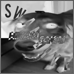 Sully - Werk (Hikari's Butter Dog Flip)