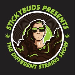 The Different Strains Show
