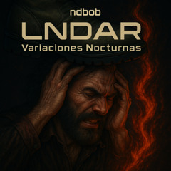 LNDAR 9