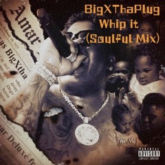 BigXThaPlug_Whip it(Soulful Mix)