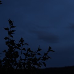 picture me better - weyes blood (cover)