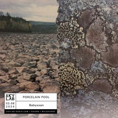 Skylab : Porcelain Pool Ep. 33: ankle deep
