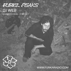 Furka Peaks: DJ WEB @ Furka Radio - 20.11.25