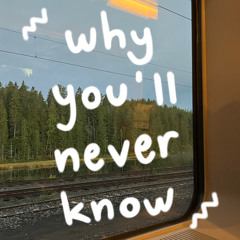Why You'll Never Know