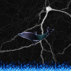 offset, young dolph, + bad bunny - fuego dolphset (mashup)