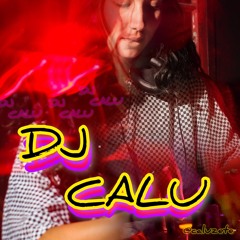 Funk Mix 2023 - DJ Calu