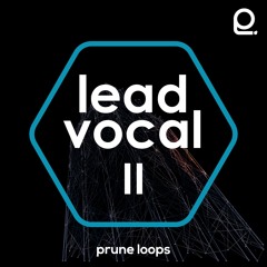 Lead Vocal Vol 2