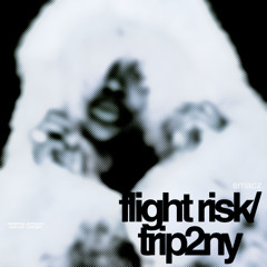 FlightRisk/Trip2NY (prod. kade)