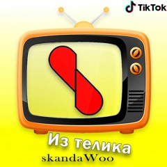 skandaWoo - Из телика