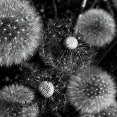 Dronework III