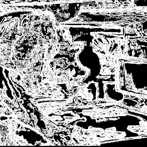 Anatomy - 000