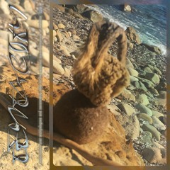 Tentacity 09/22 by Ida Elastix