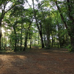 03.01.2022 - Cap. VII - Puros de Coração - Bem Aventurados os Que Tem os Olhos Fechados (2)