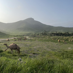ميدلي ظفار (مطارات عُمان)