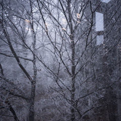 2024-12-14_庭の風鈴_雪解け水_鳥のさえずり