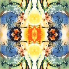Ebb & Flow Down The Rabbit Hole