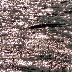 무이야드(mooee Yard) - 한 컵을 가득 내 방을 가득(Acoustic Ver.) Demo