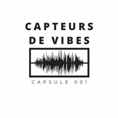 Capsule KPT2V 001 Park Poétik
