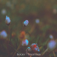 Bucky - Together (Thanks for 7K - Free DL)